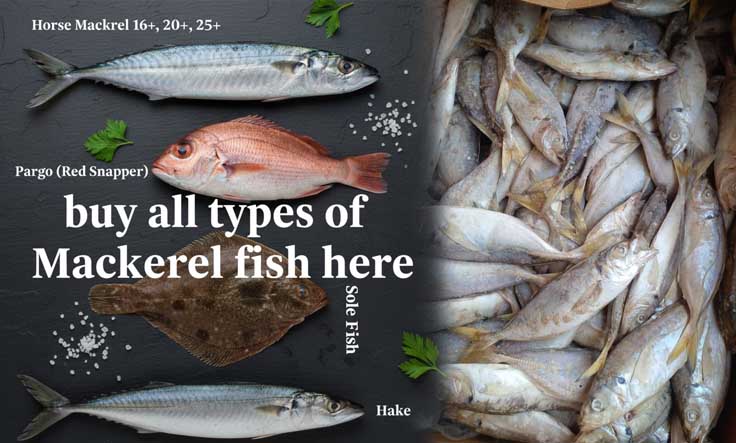 Our operations maintain strict cold chain standards from source to delivery